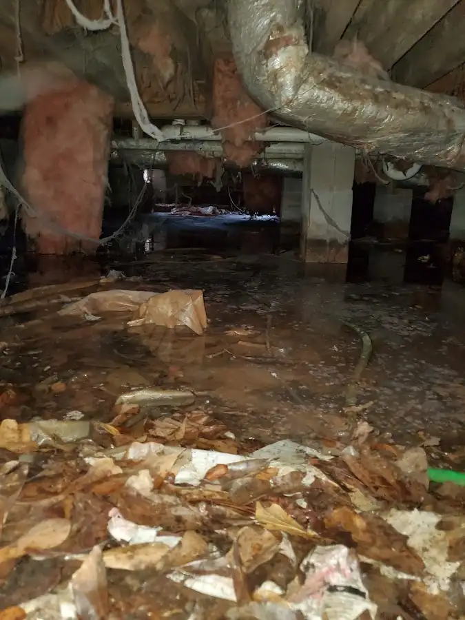 Crawl space flood assessment for Leak Detection & Repair in Galveston